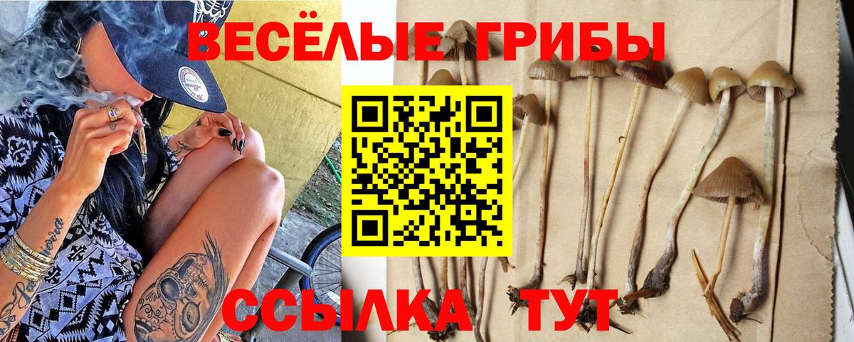 Кизилюрт  Псилоцибиновые грибы Psilocybe  Галлюциногенные грибы Psilocybine cubensis  Вход с VPN 