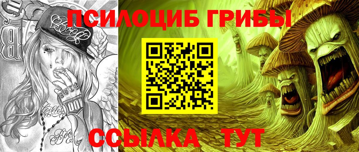 Псилоцибиновые грибы Cubensis Кизилюрт
